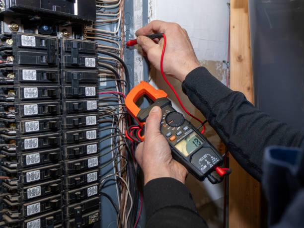 Best Home Electrical Repair  in Crystal Falls, MI